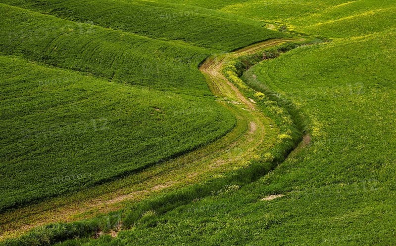 Hilly fields in the Crete Senesi region