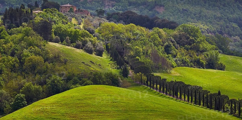 Hilly landscape of the Crete Senesi region