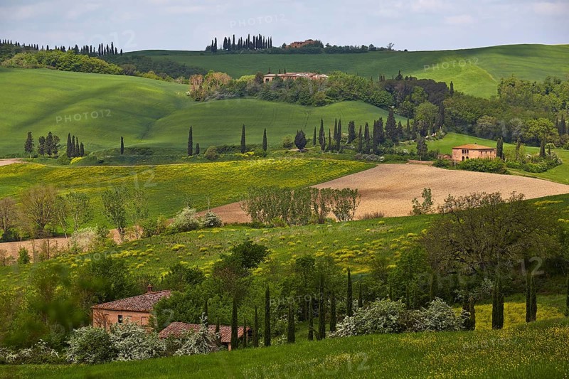 Hilly landscape of the Crete Senesi region