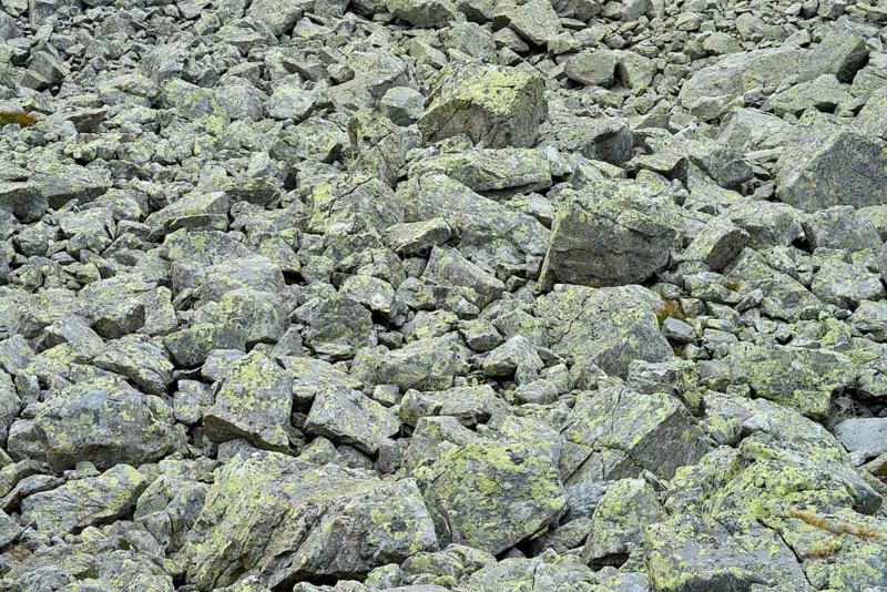 Scree on Penser Joch pass