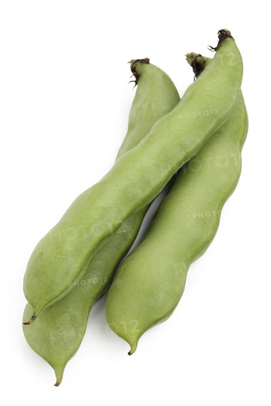 Broad beans (Vicia faba)