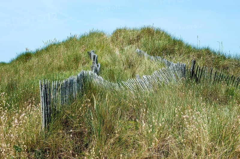 Protection fence for dunes on the Plage de la Torche