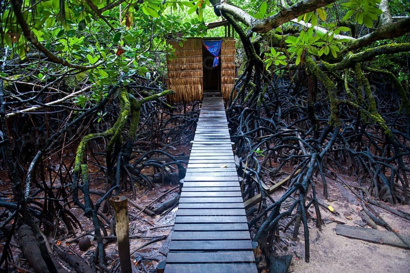 Jungle toilet on an islet
