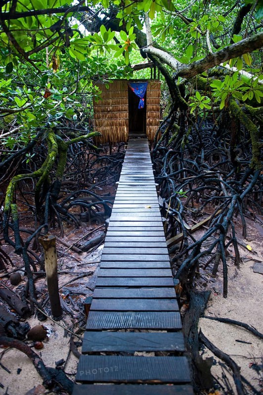 Jungle toilet on an islet