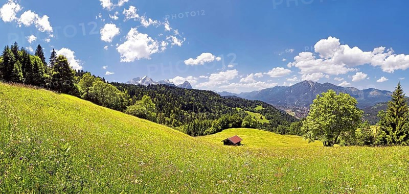 Vernal mountain landscape with green grass