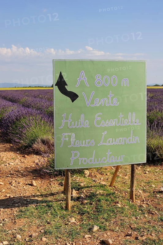 Lavender for sale sign near Puimoisson