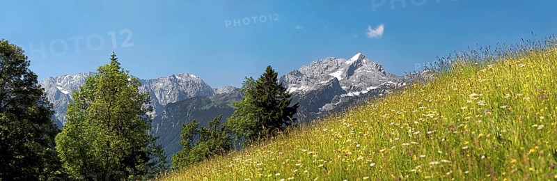 Green meadow on Eckbauer Mountain