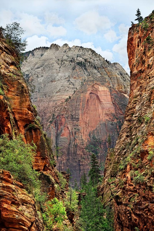Narrow gorge en route to Angels Landing on the West Rim Trail with views of the Great White Throne