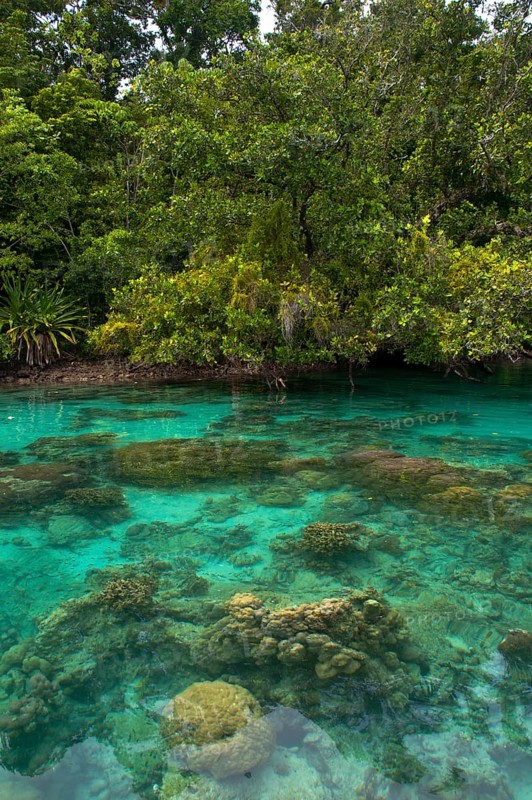 Clear waters of the Marovo Lagoon