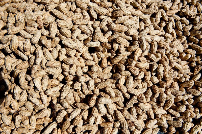 Peanuts for sale