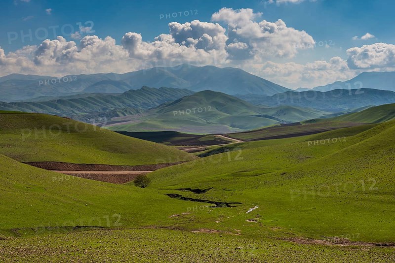 Green hilly landscape