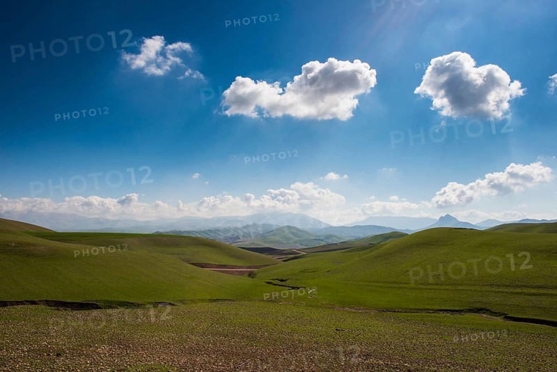 Green hilly landscape