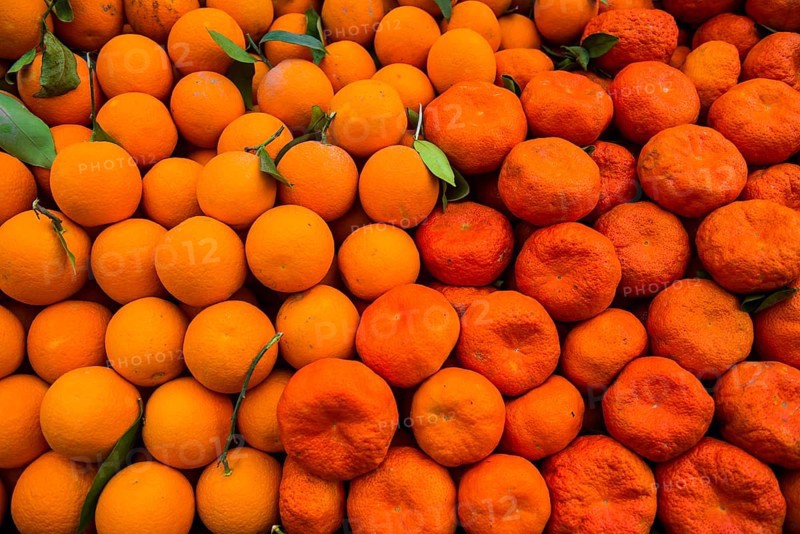 Oranges and mandarins for sale in the Bazaar of Sulaymaniyah