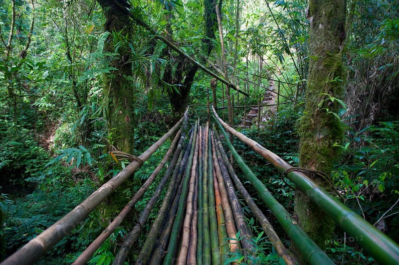 Bamboo bridge leading to the Millennium Cave