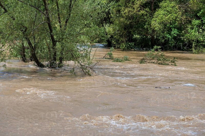 Flood of the river Neckar