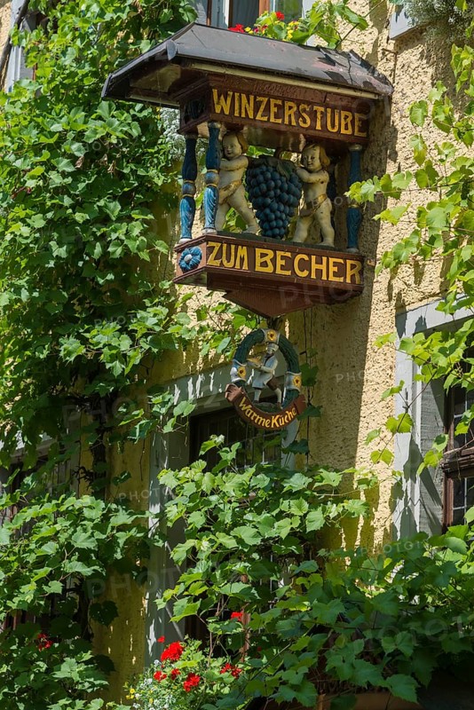 Sign of a wine tavern on an ivy-covered house