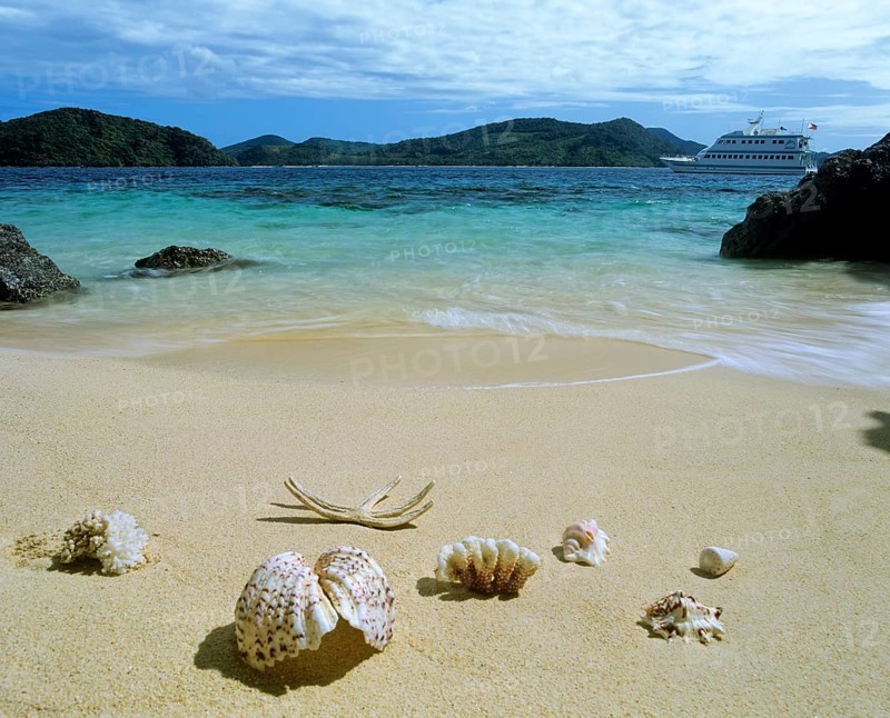 Shells