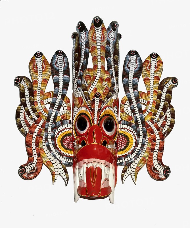 Cobra mask