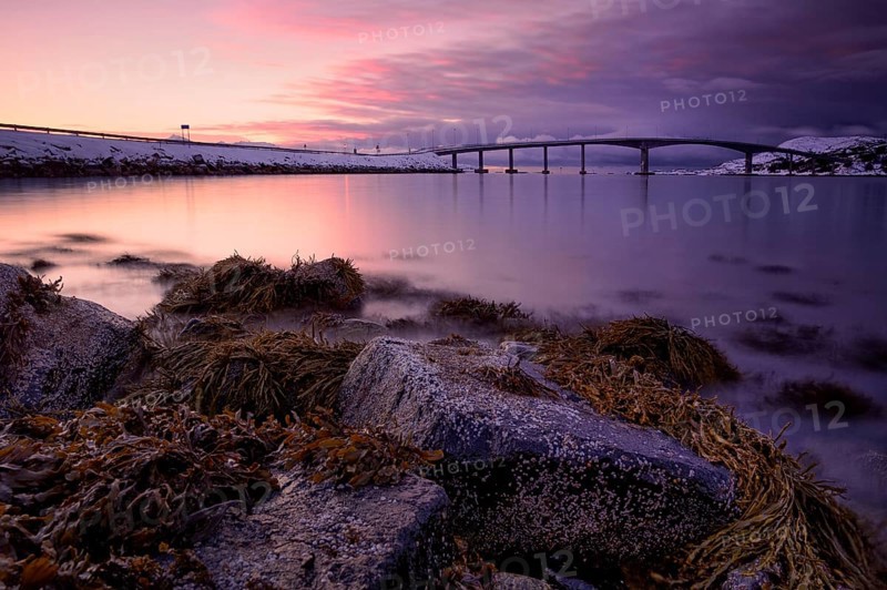 Bridge with fjord in the evening light