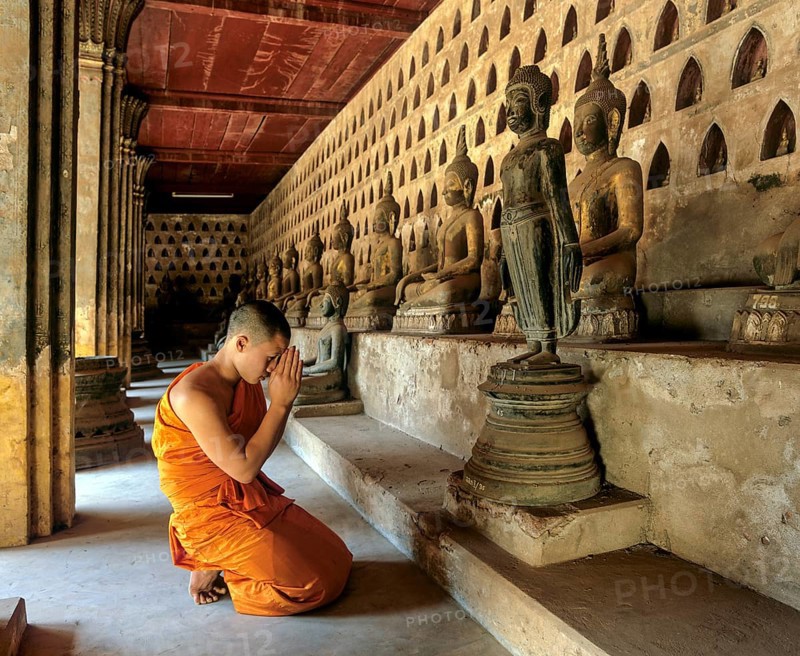 Novice praying in front of a bronze Buddha