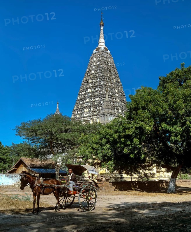 Horse-drawn carriage in front of Mahabodhi Temple