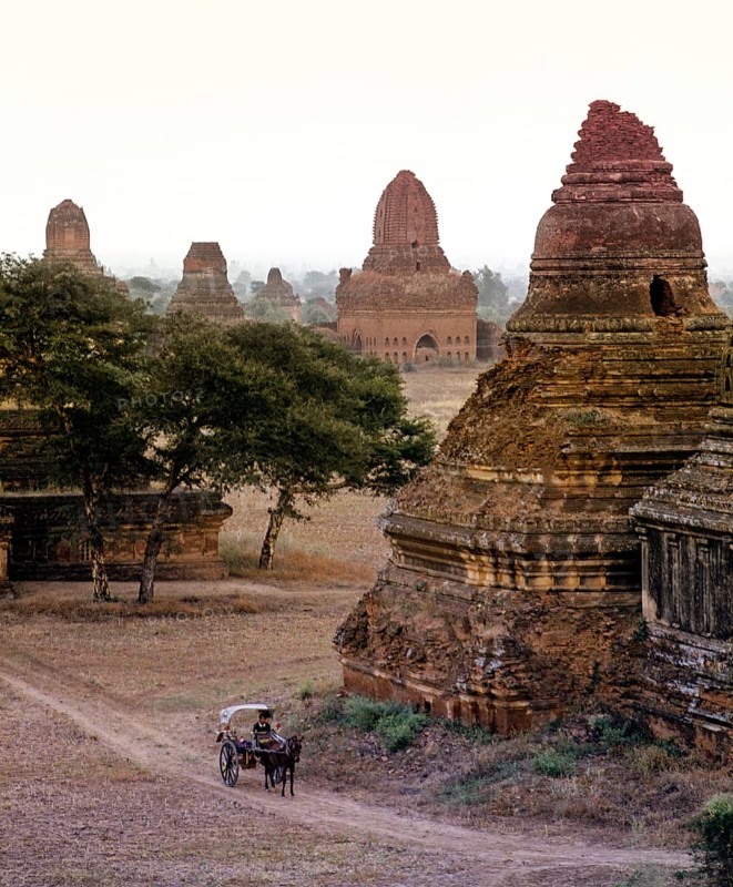 Horse-drawn carriage in a field with ruins of Buddhist pagodas and temples