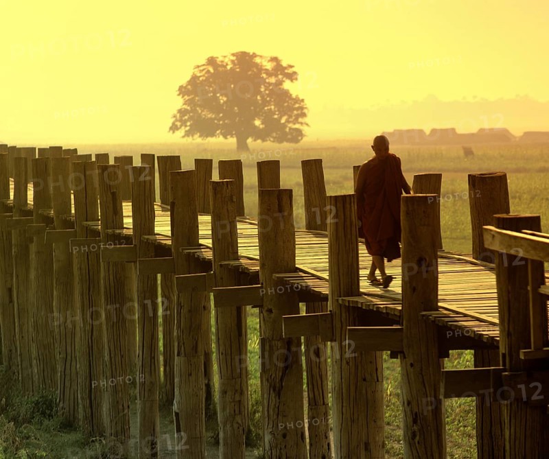 Monk on a teak bridge