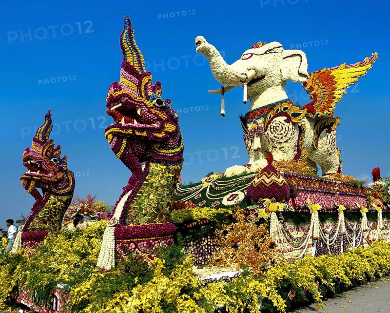 Flower Festival