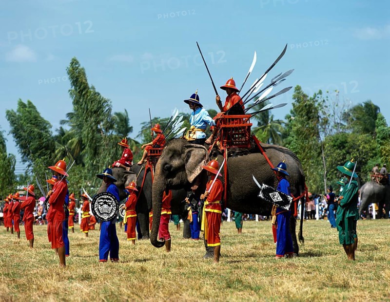 Elephant festival in Surin