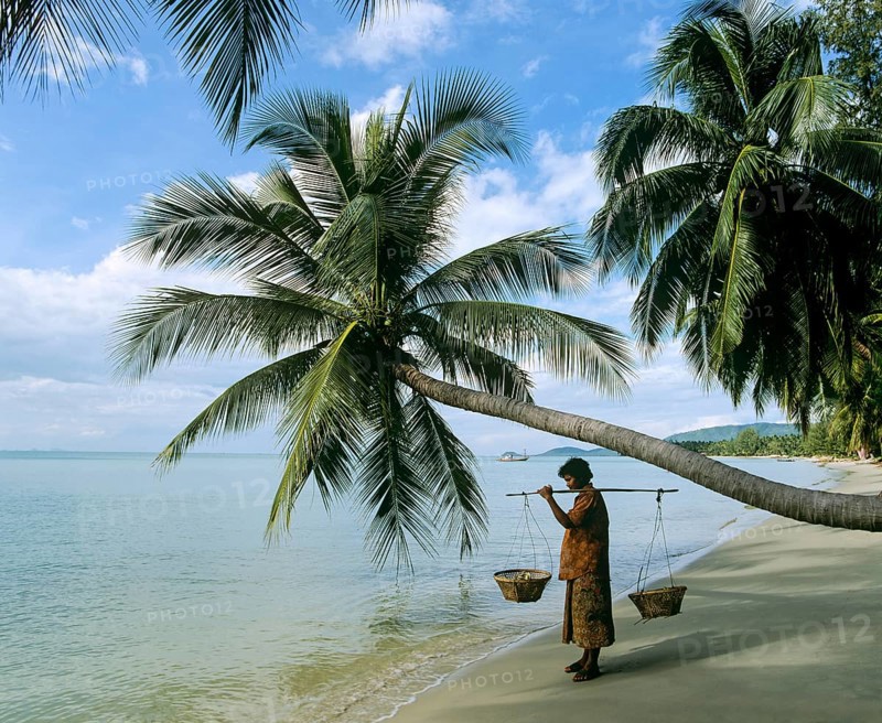 Beach vendor standing next to a horizontal growing palm tree on a beach