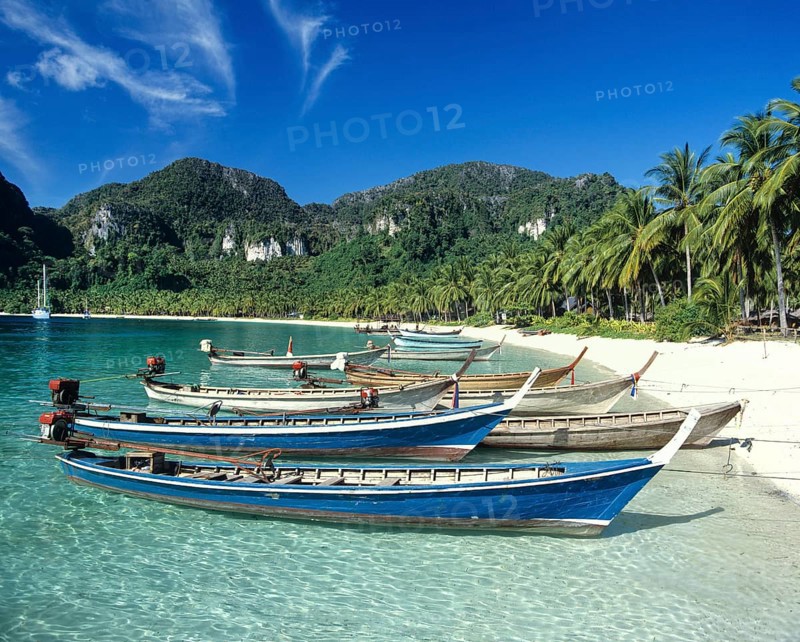 Longtail boats at the beach