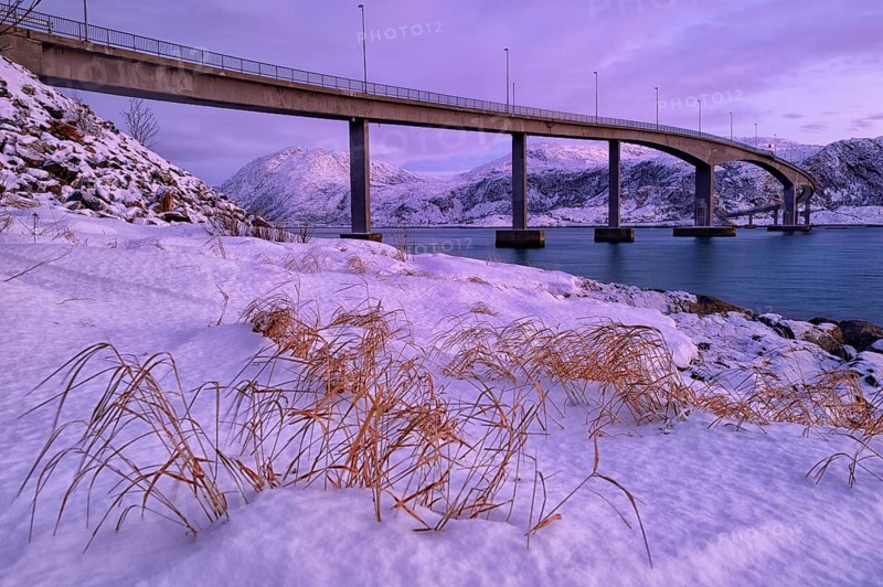 Bridge with fjord in the evening light