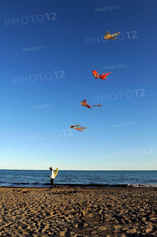 Man with many kites on the beach