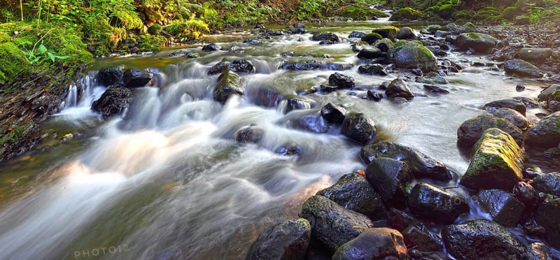 Mid-mountain stream with rocks in the stream bed