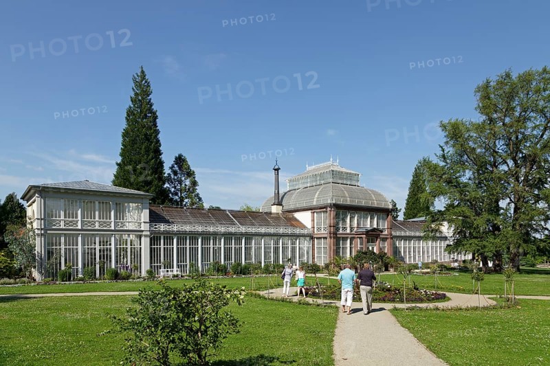Large greenhouse