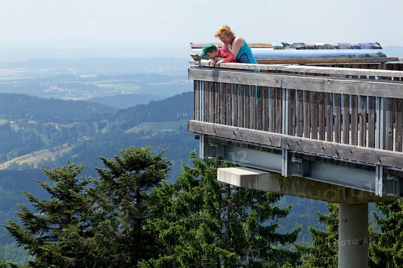 Waldwipfelweg tree top trail
