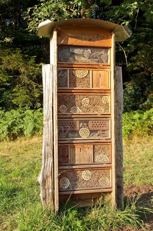 Insect hotel