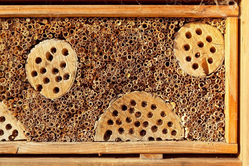 Insect hotel