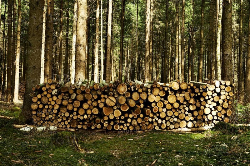 Stack of wood