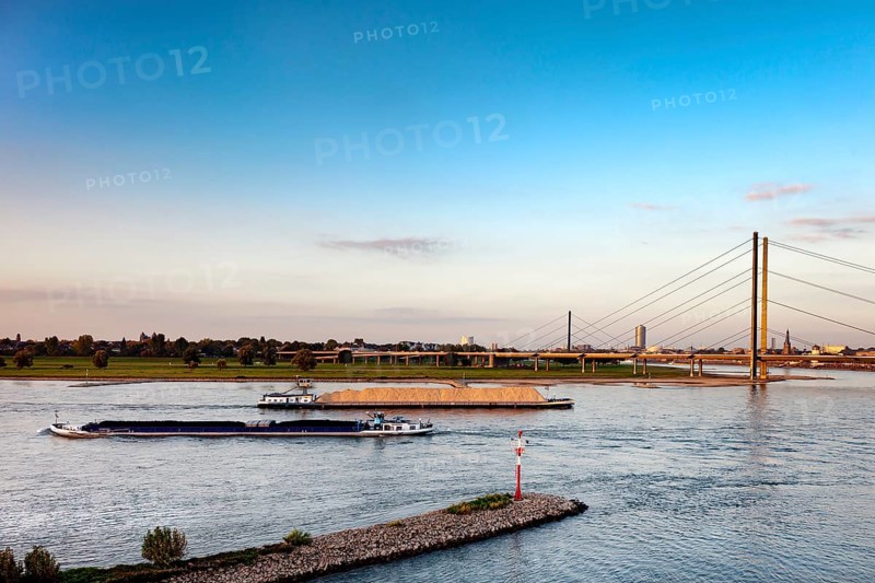Rhine