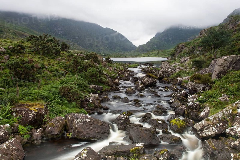 Stream flowing through a misty landscape