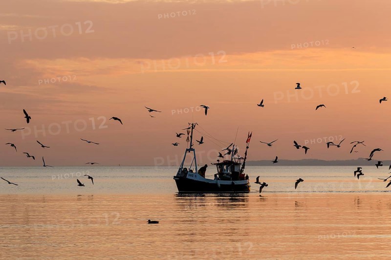 Fishing boat on the Baltic coast