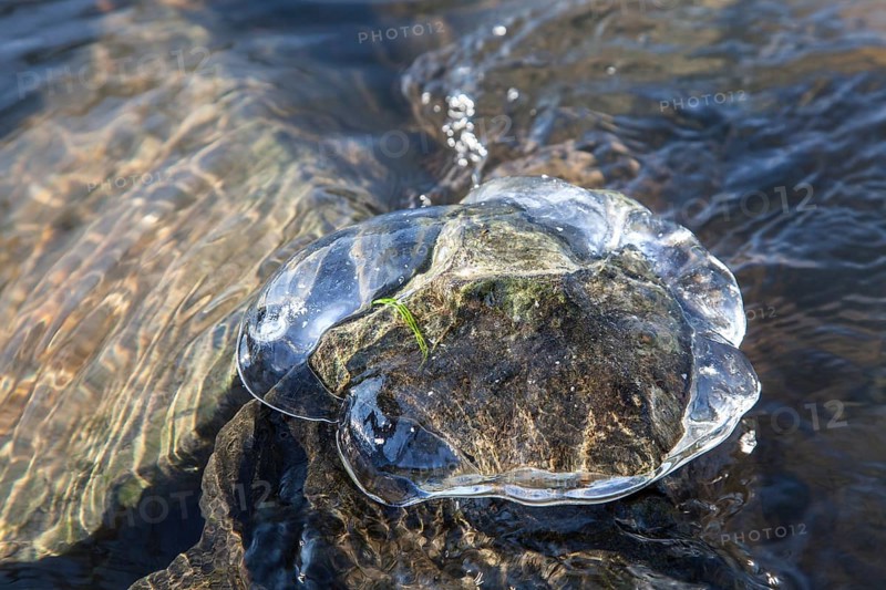 Ice on rocks in a river