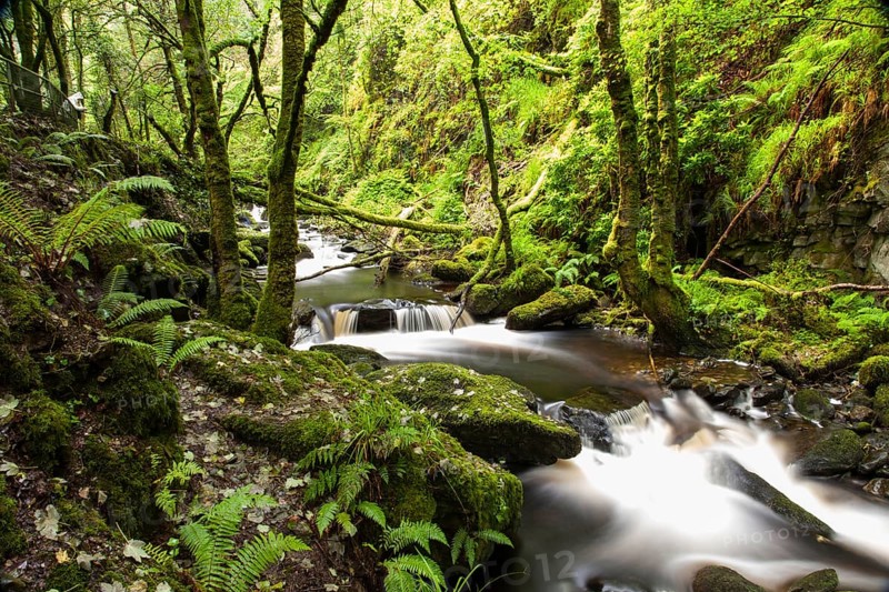 The end of the Torc waterfall