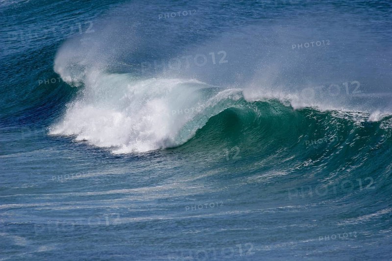 Wave
