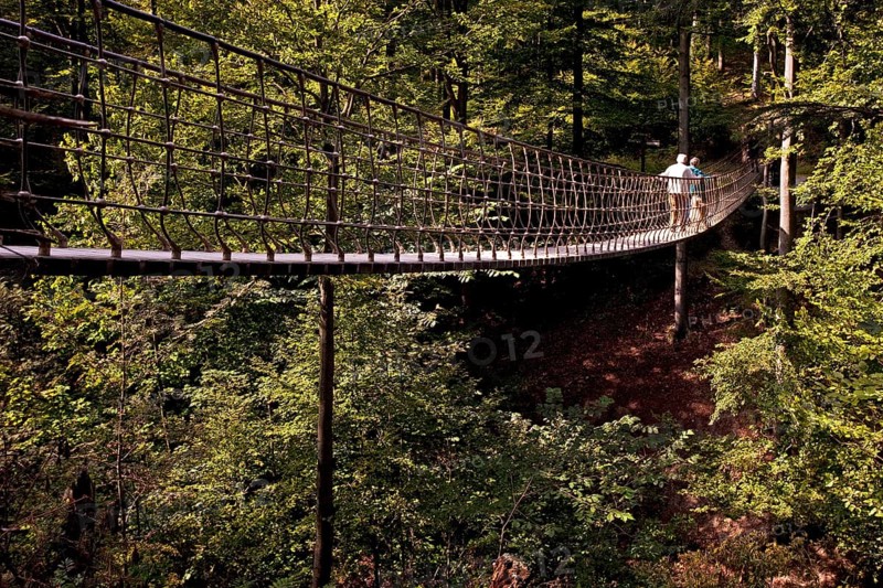 Suspension bridge along the Waldskulpturenweg forest sculpture trail in Wittgenstein-Sauerland