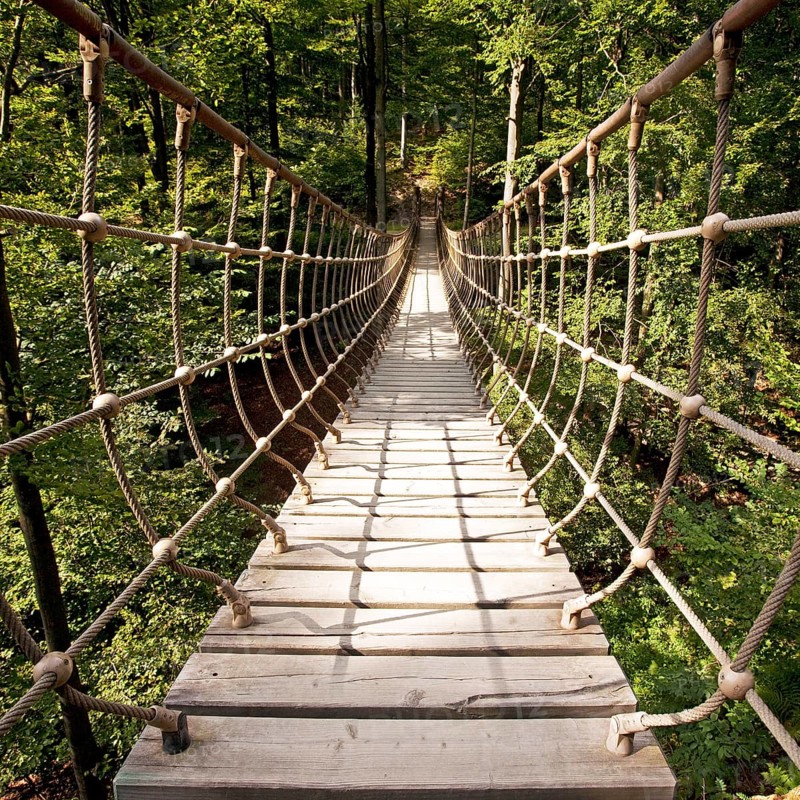 Suspension bridge along the Waldskulpturenweg forest sculpture trail in Wittgenstein-Sauerland