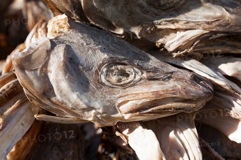 Dried cod head