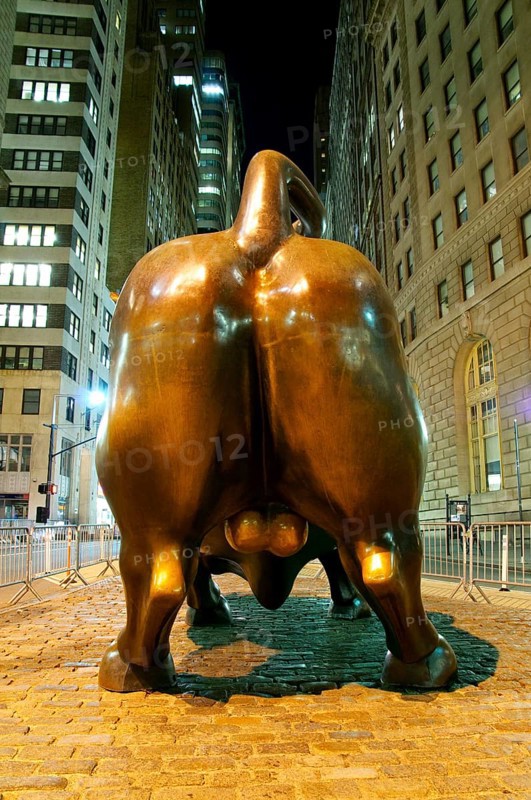 Wall Street Bull