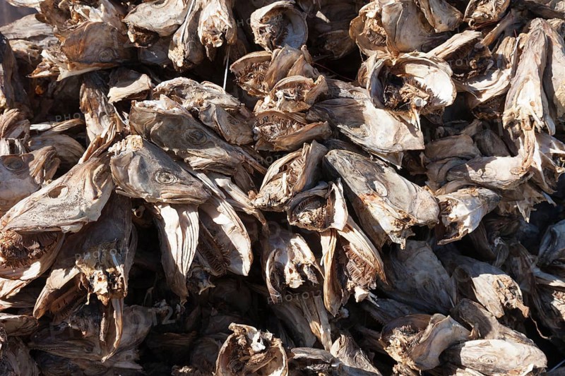 Pile of dried cod heads